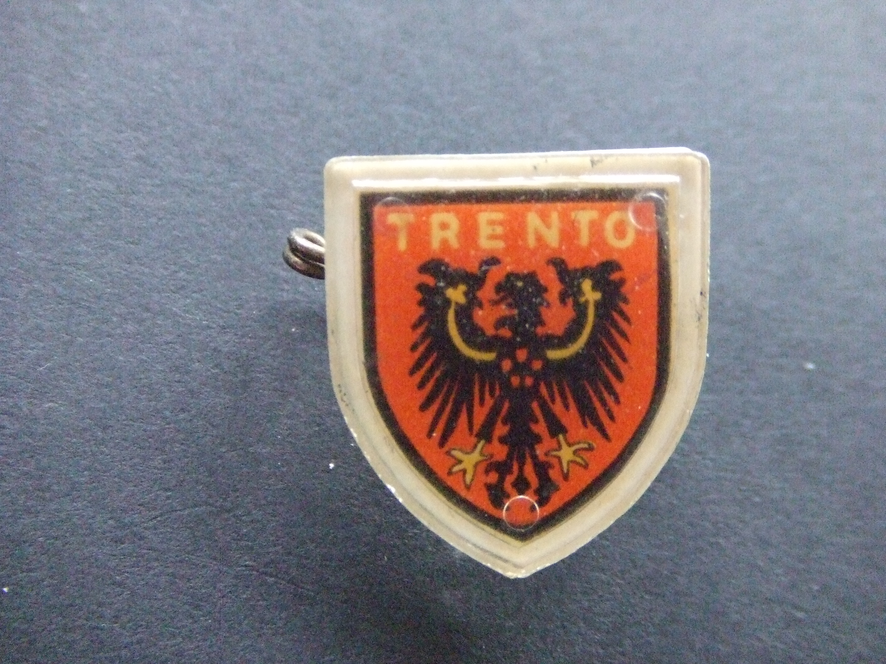 Trentino-Zuid-Tirol stadswapen , broche